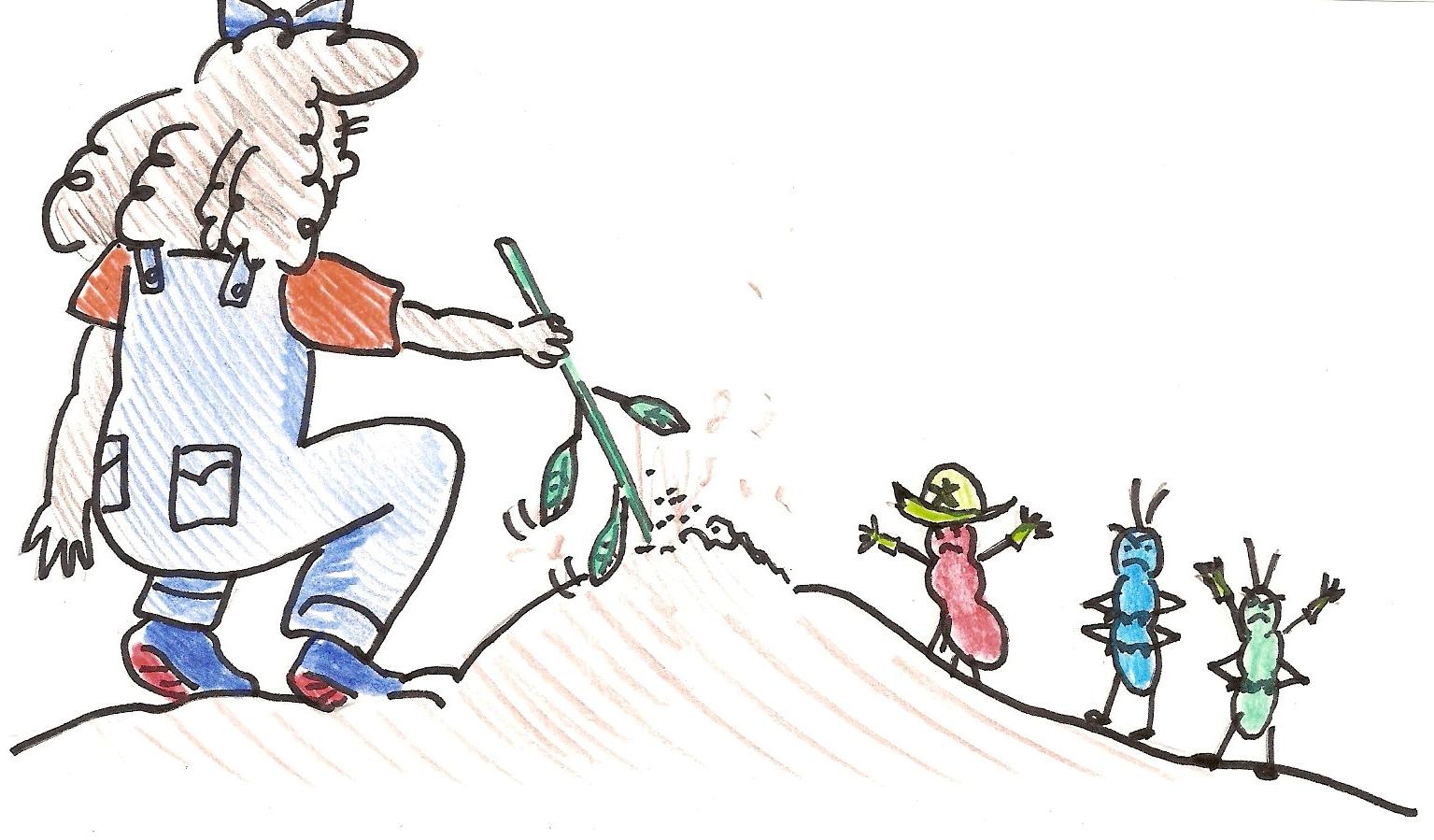A Lesson From an Ant