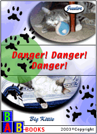 Big Kitty and Junior: Danger! Danger! Danger!