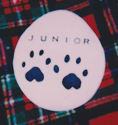 Our Dear Boy Junior: Gone Too Soon