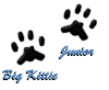 Pawprints -Big Kittie and Junior, We love you!